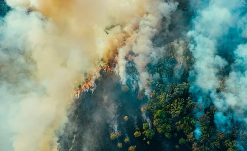 Climate anxiety an important driver for climate action – new study Climate anxiety an important driver for climate action – new study